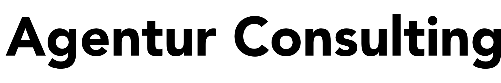 Agentur Consulting
